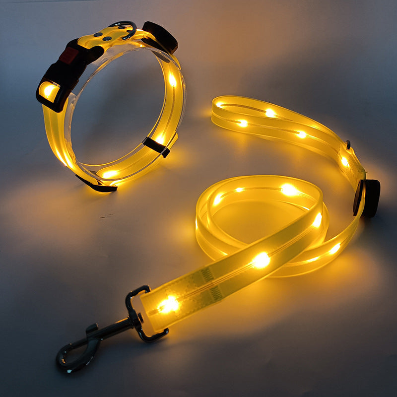 Lichtgevende LED honden halsband met riem — afbeelding 5