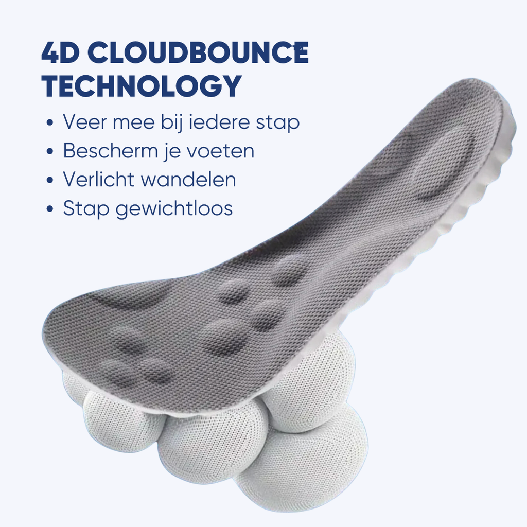 Inlegzolen