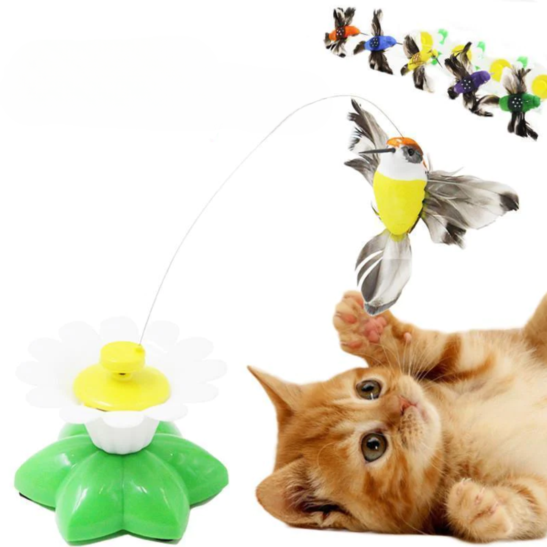 Interactief vogelspeeltje voor katten
