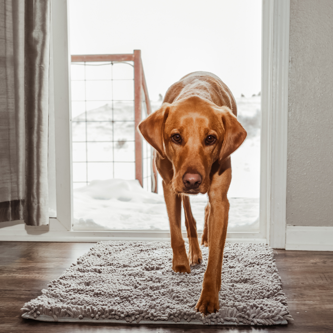 Honden schoonloopmat