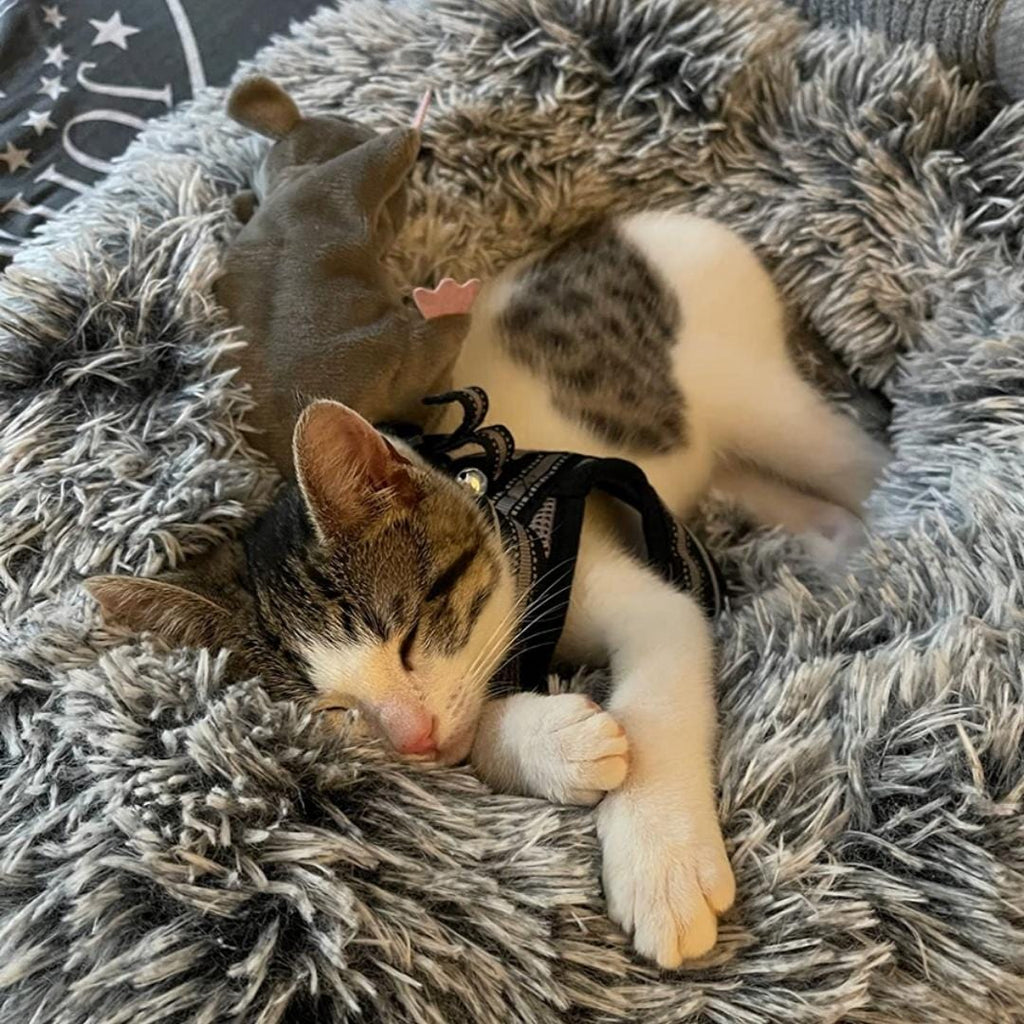 Kattenbed CalmingBed van 70 cm