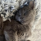 Kattenbed CalmingBed van 70 cm