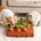 Carrot schattenjacht