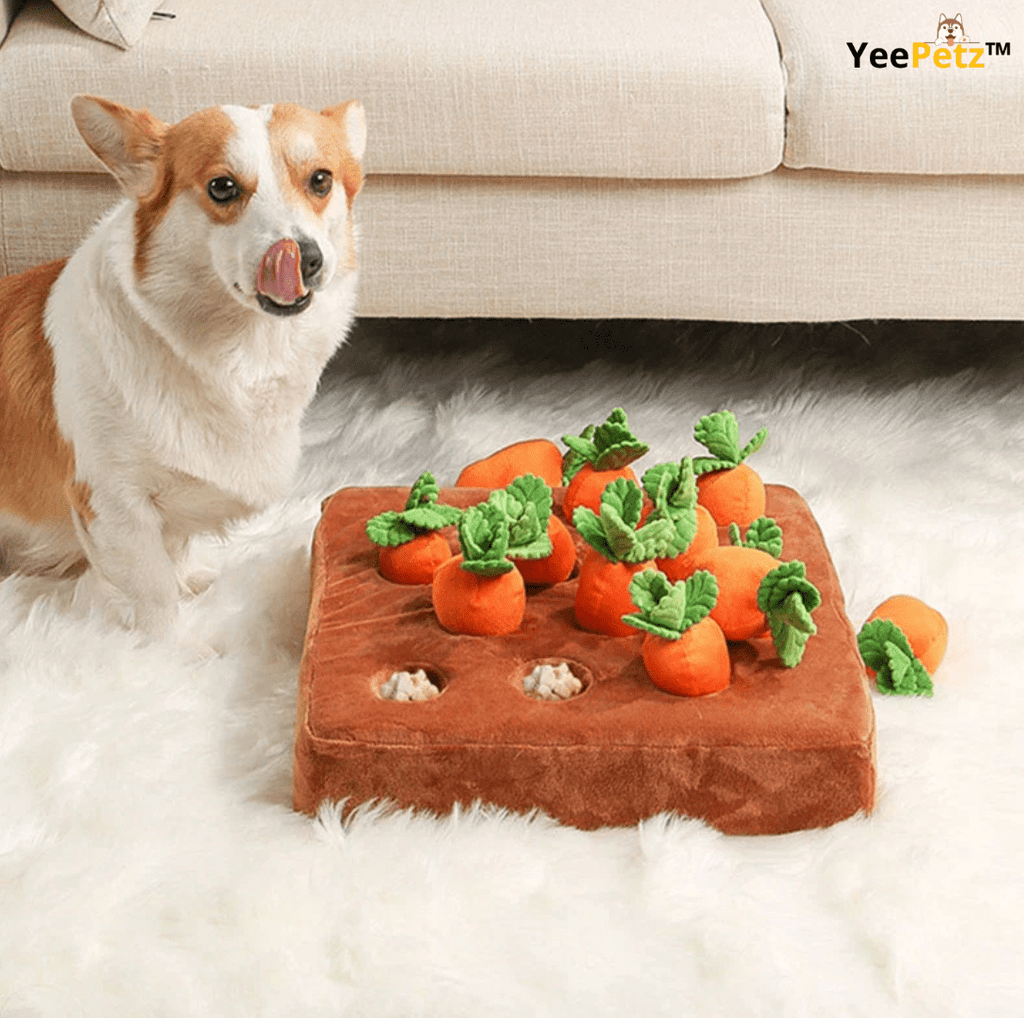 Carrot schattenjacht