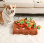 Carrot schattenjacht