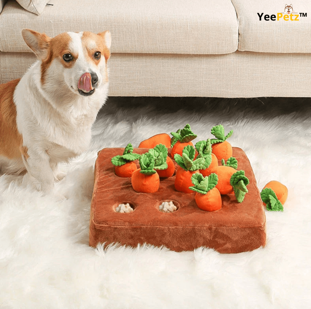 Carrot schattenjacht