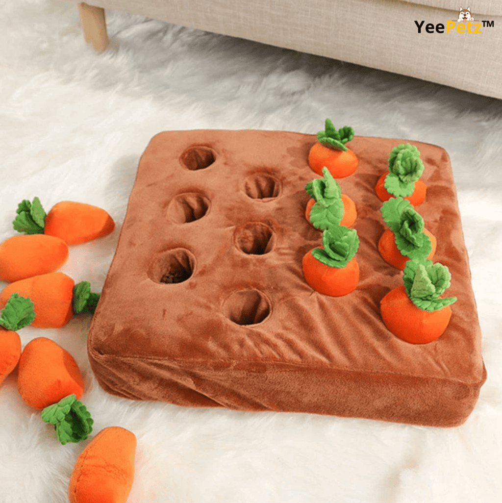 Carrot schattenjacht