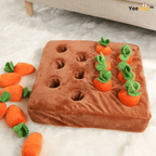 Carrot schattenjacht