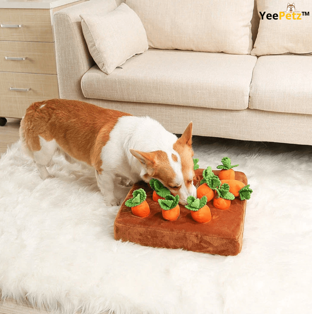 Carrot schattenjacht