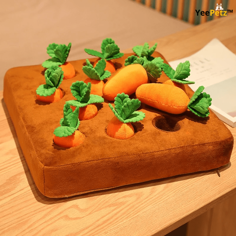 Carrot schattenjacht