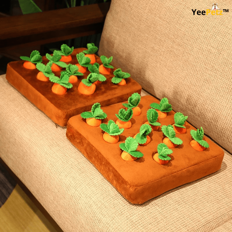 Carrot schattenjacht