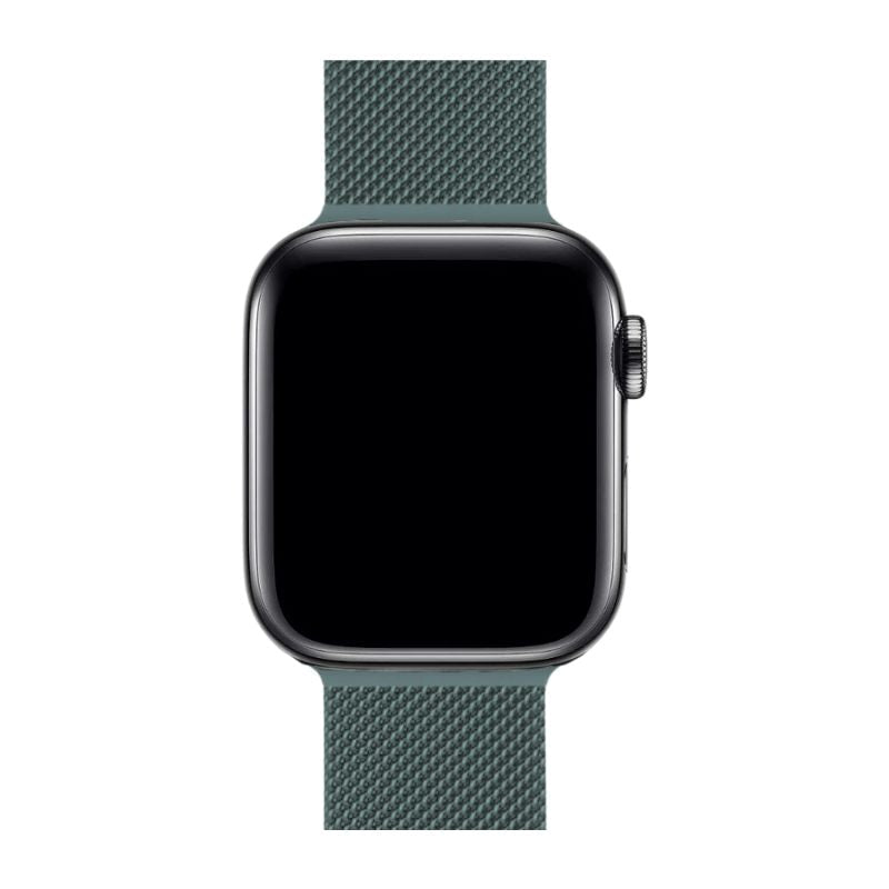 Milanese apple watch armband
