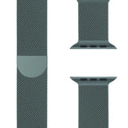 Milanese apple watch armband