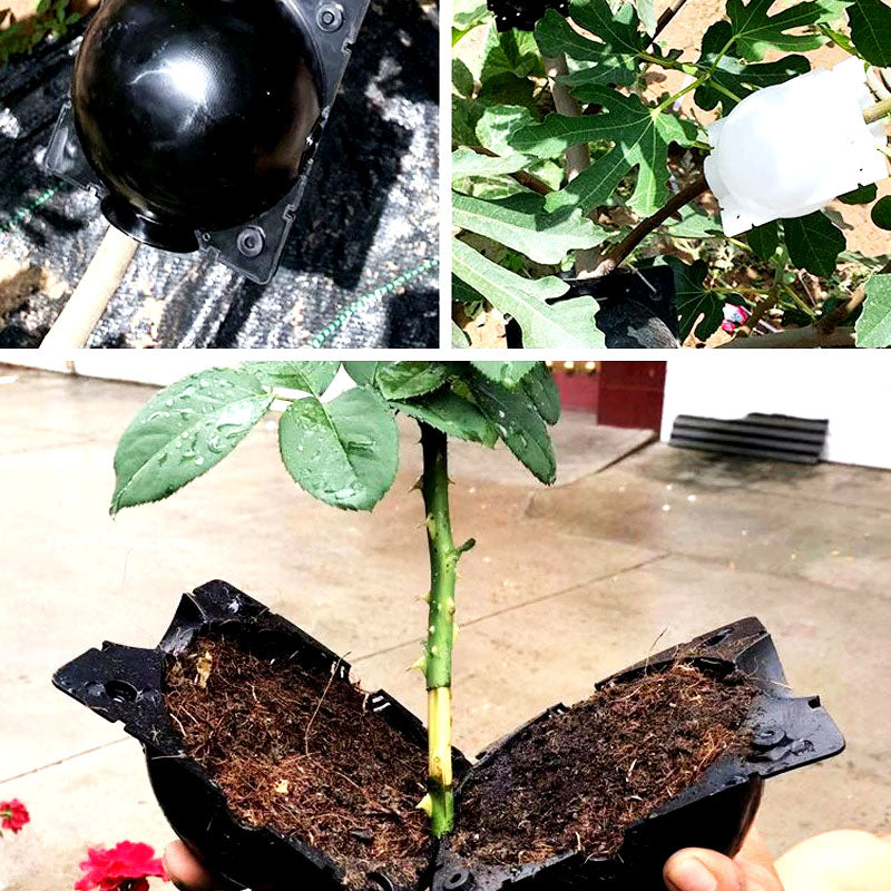 Wortelgroeibal voor planten