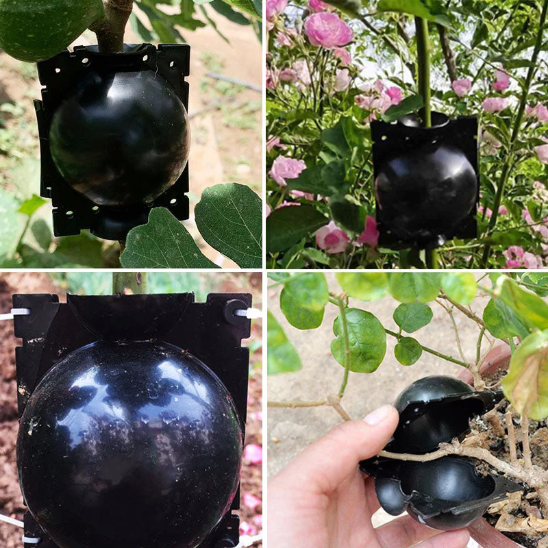 Wortelgroeibal voor planten