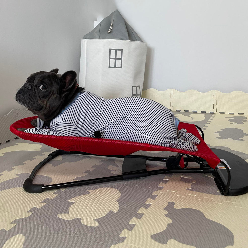 Schommelstoel voor honden