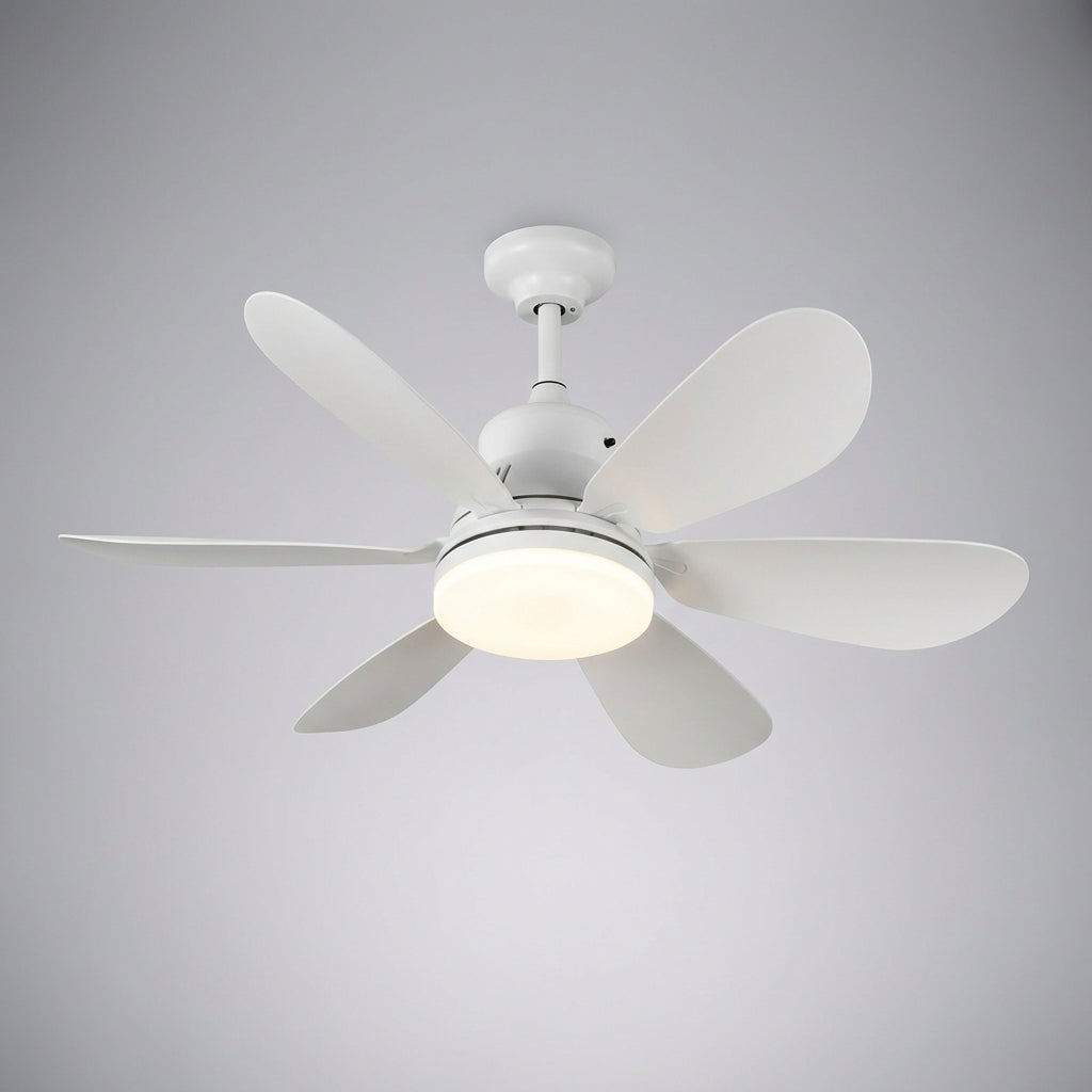 Afstandsbedienbare plafondlamp