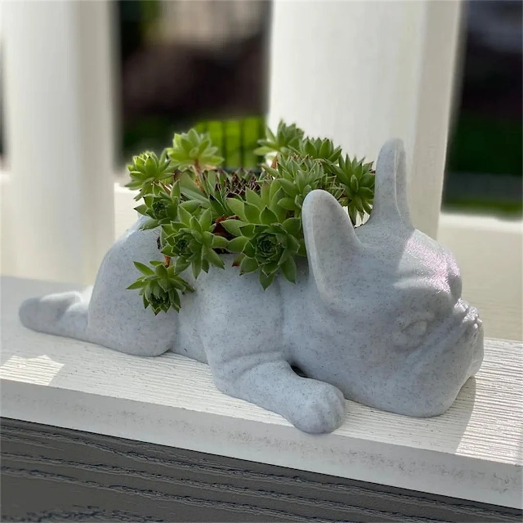 Honden hars vetplant planter