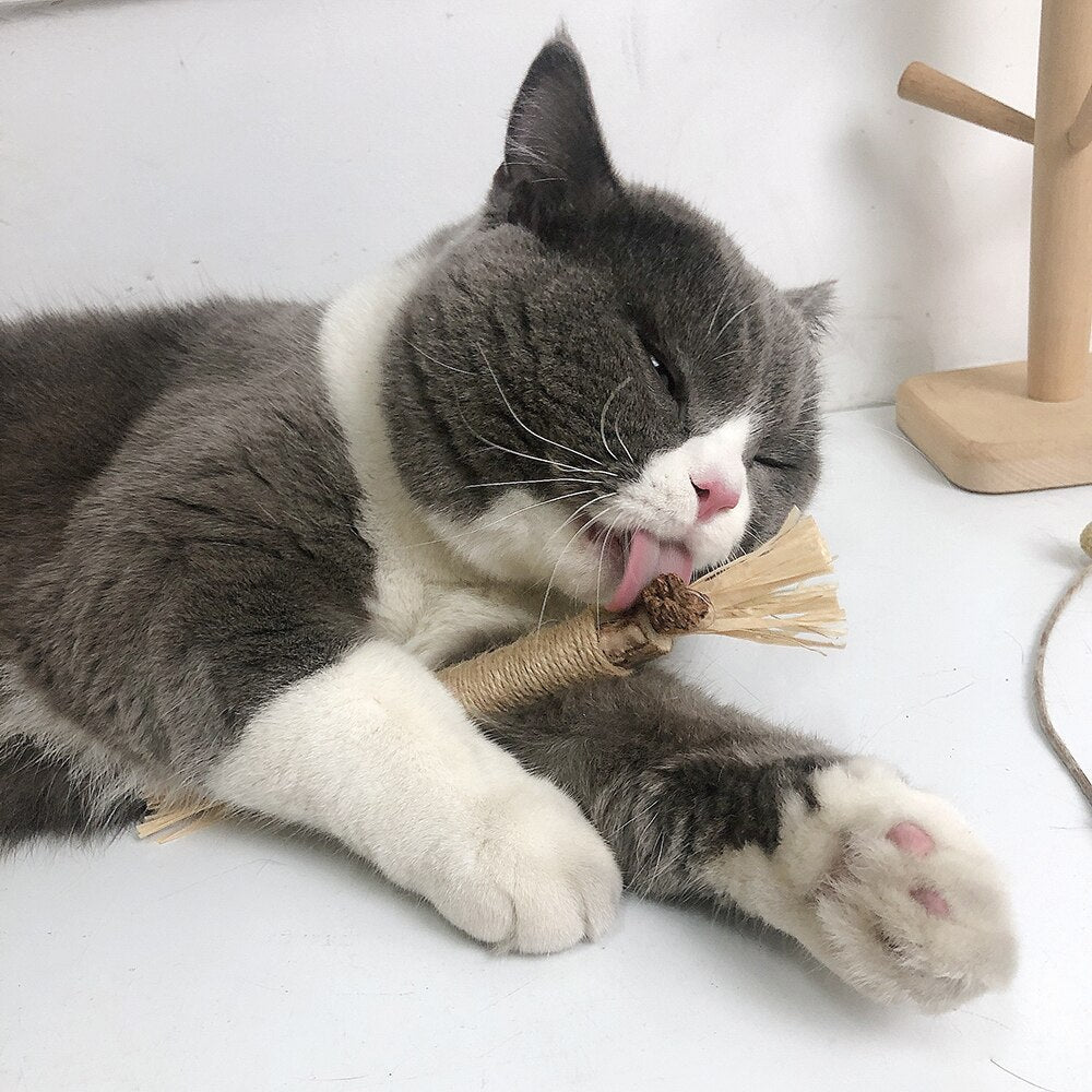 Interactieve kauwstokken voor katten