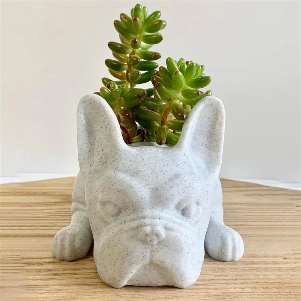 Honden hars vetplant planter