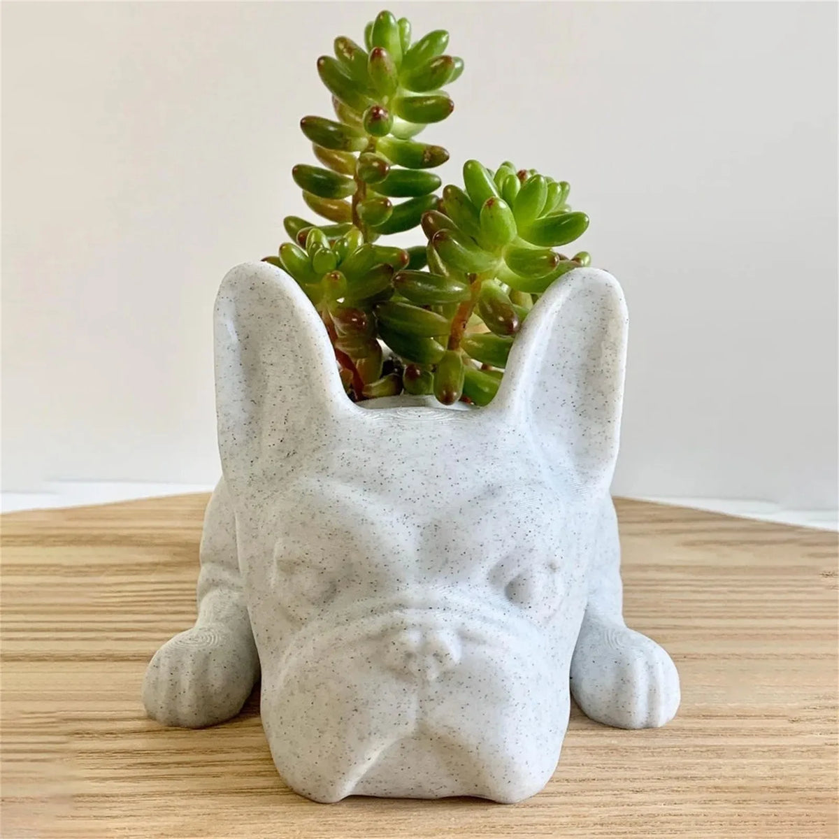 Honden hars vetplant planter