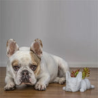 Honden hars vetplant planter