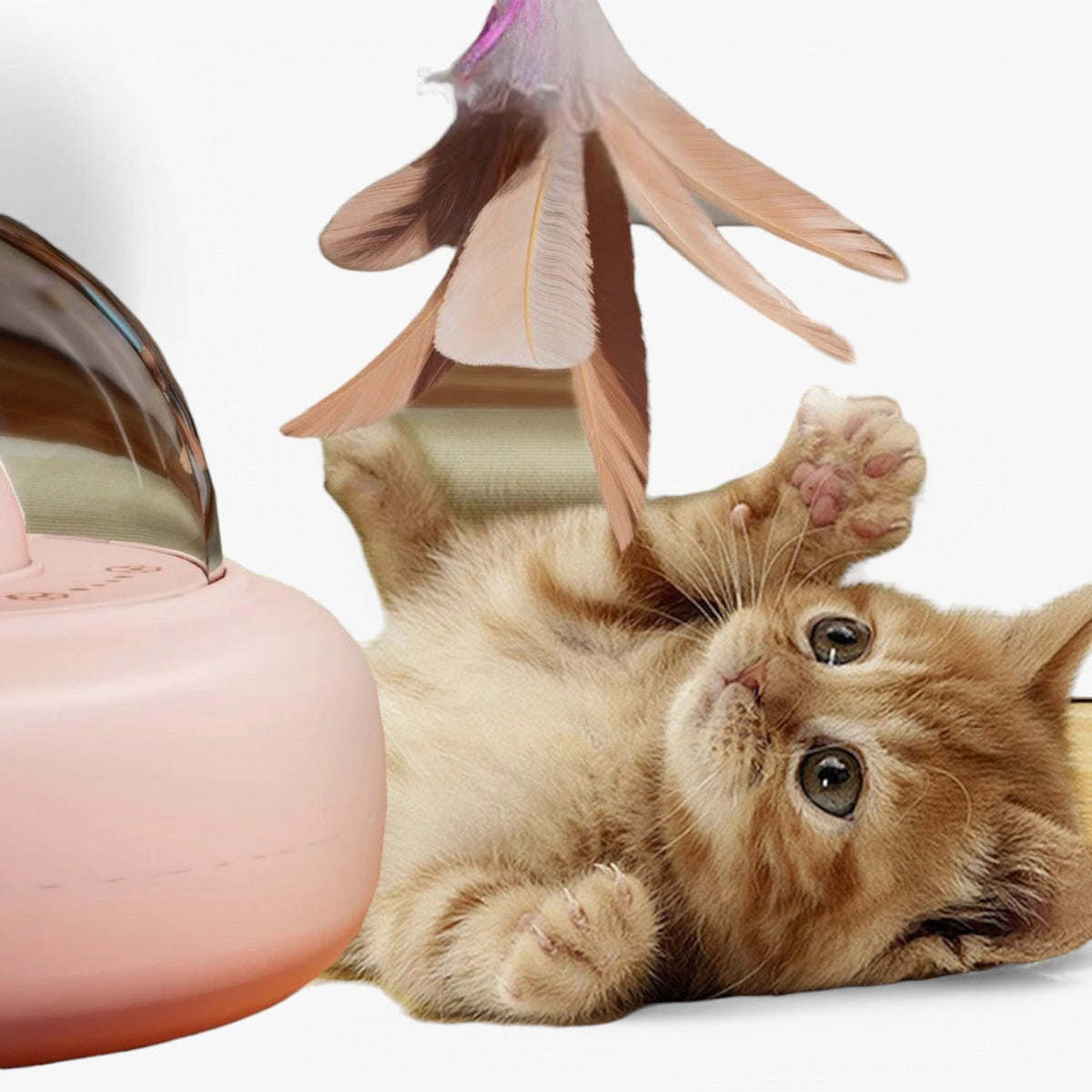 Slim laser kattenspeelgoed met regenbooglicht