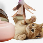 Slim laser kattenspeelgoed met regenbooglicht