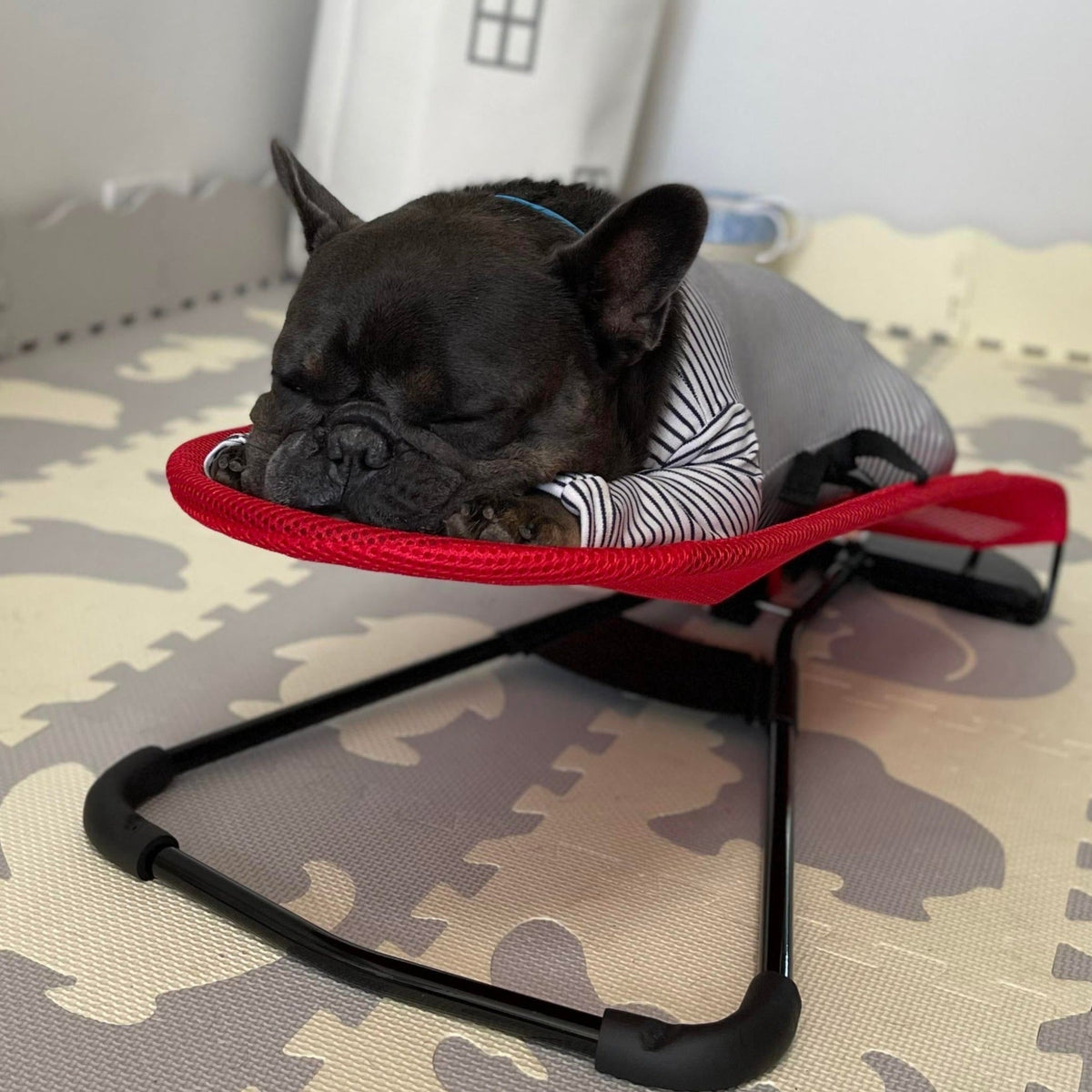 Schommelstoel voor honden