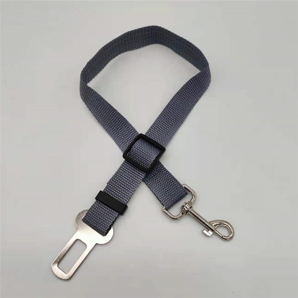 Honden autoriem