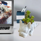 Honden hars vetplant planter