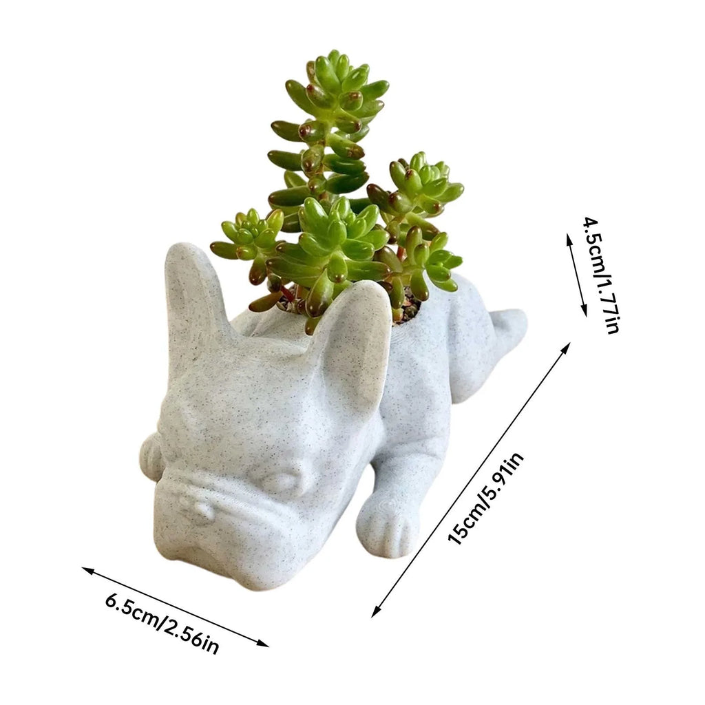 Honden hars vetplant planter