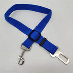 Honden autoriem