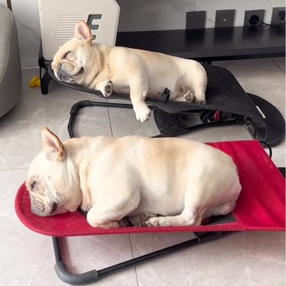 Schommelstoel voor honden