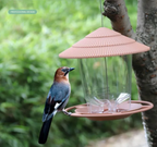 Automatische notenvoeder voor vogels