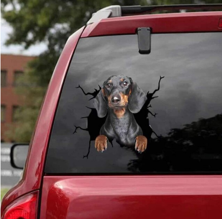 Autosticker voor hondenliefhebbers