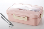 Magnetronlunchbox