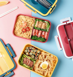 Magnetronlunchbox