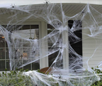 Artificial spider web