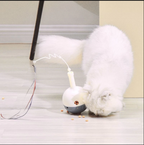 Automatische kattenbal