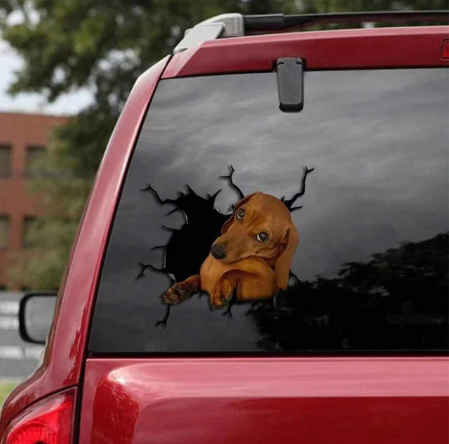 Autosticker voor hondenliefhebbers