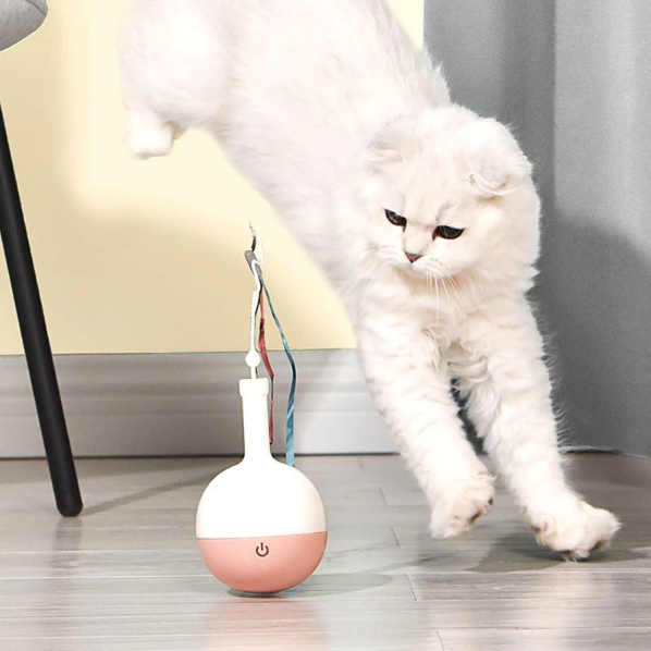 Automatische kattenbal — afbeelding 6