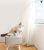 Interactive cat toy