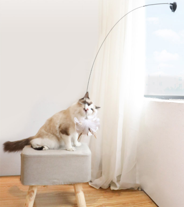 Interactive cat toy