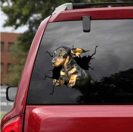 Autosticker voor hondenliefhebbers