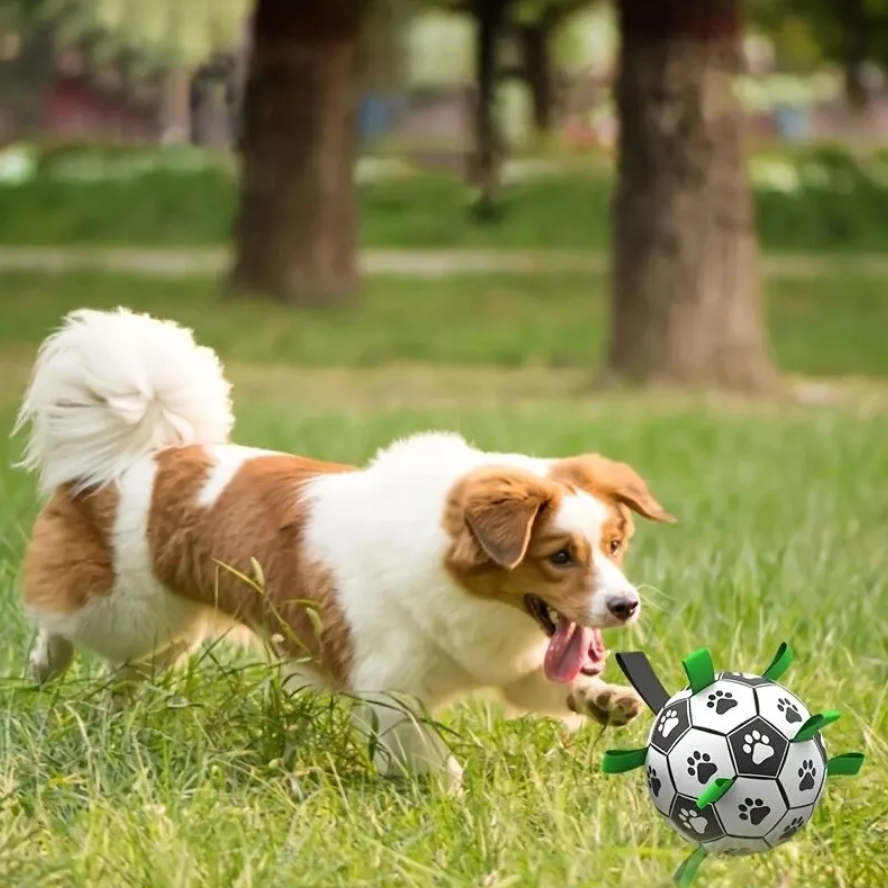 Hondenvoetbal met handvatten