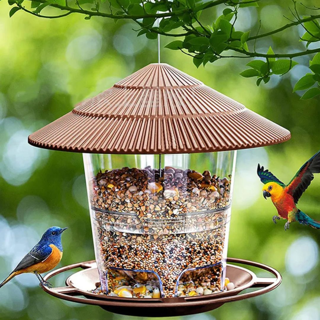 Automatische notenvoeder voor vogels