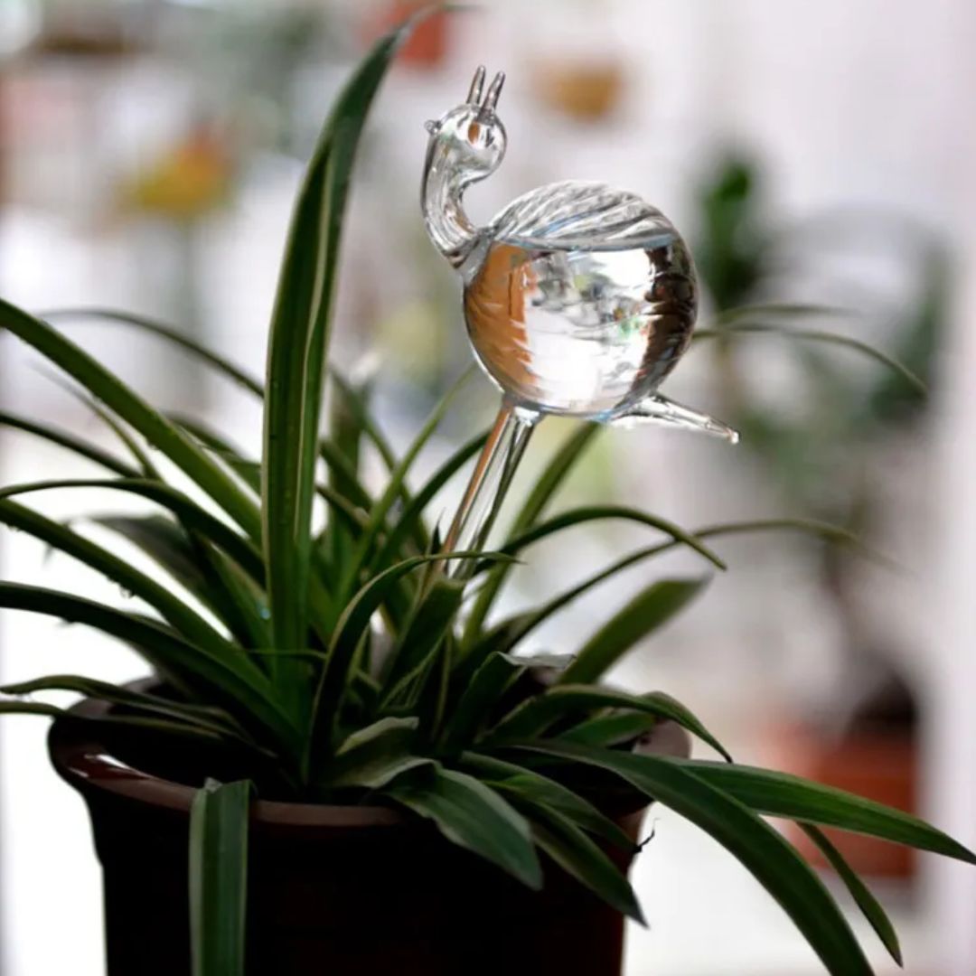 Transparante glazen zelfwatergever voor planten