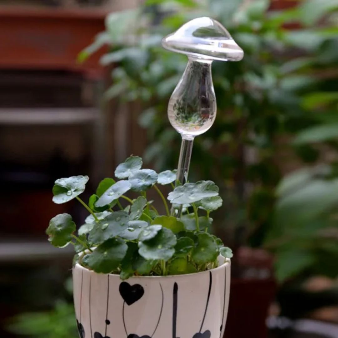 Transparante glazen zelfwatergever voor planten