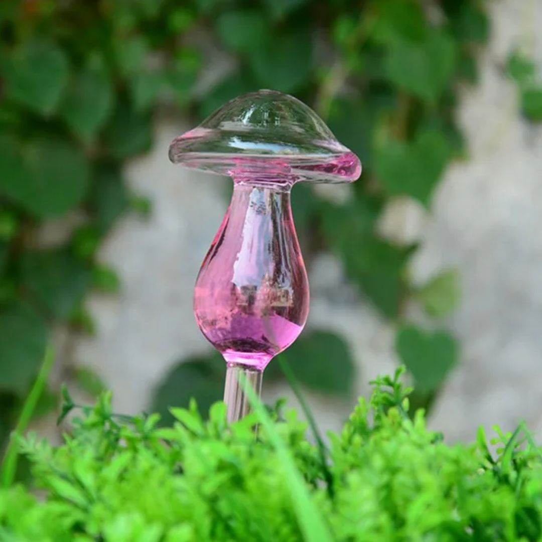 Transparante glazen zelfwatergever voor planten